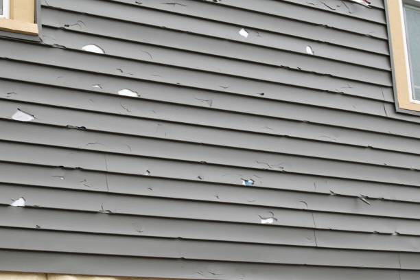 Affordable Siding Repair and Maintenance Services in Cross City, FL